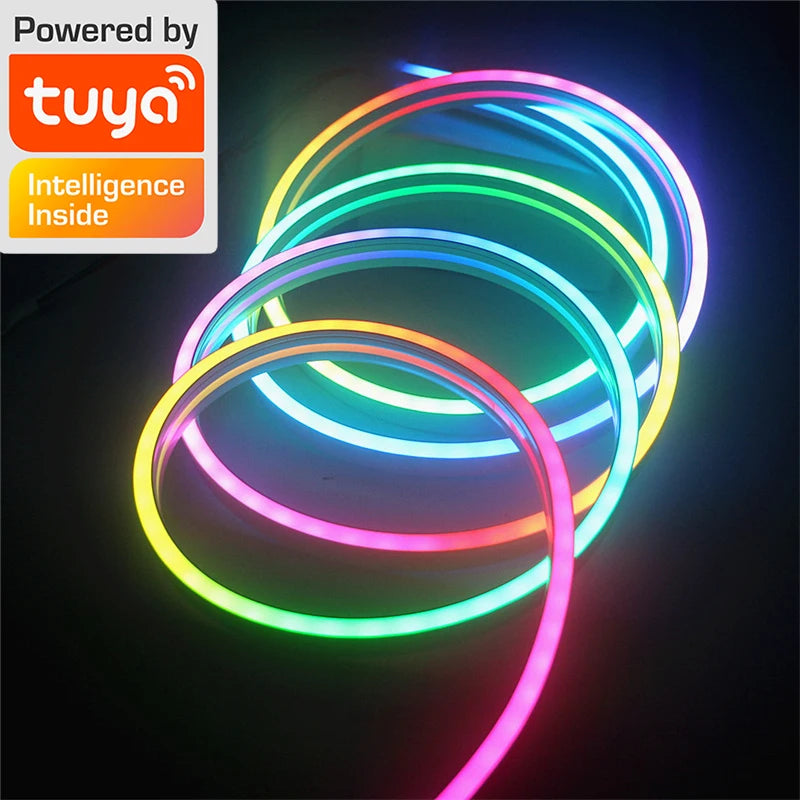 TUYA LED Strip Lights Wifi 12V RGBIC Neon Rope Lights With Music Sync Neon Led Lights